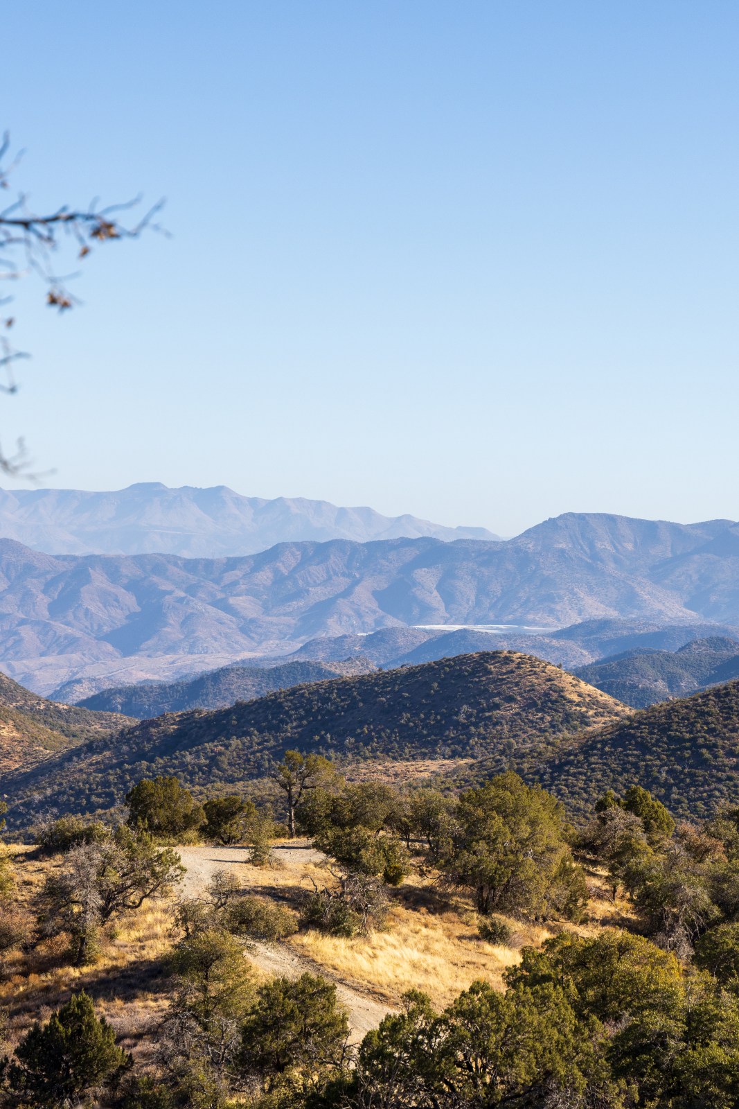 Forest 650, Queen Valley & Montana Mountain, Tonto National Forest