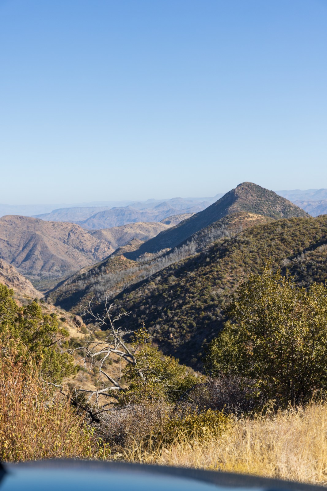 Forest 650, Queen Valley & Montana Mountain, Tonto National Forest
