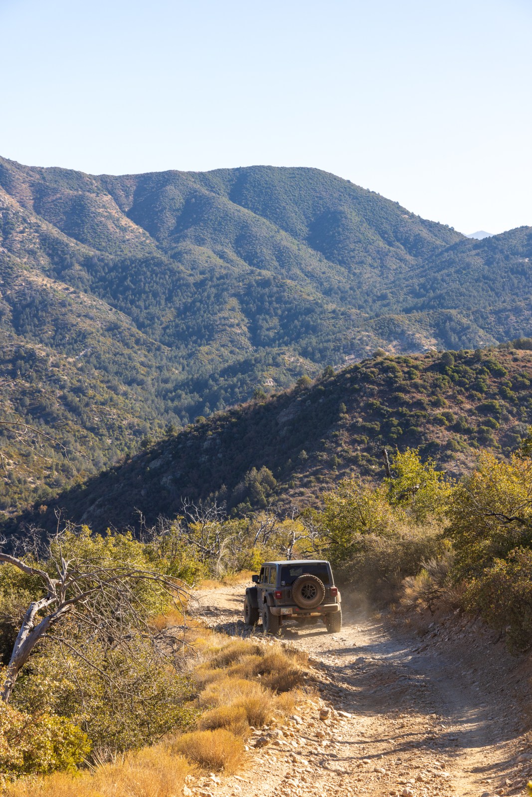 Forest 650, Queen Valley & Montana Mountain, Tonto National Forest