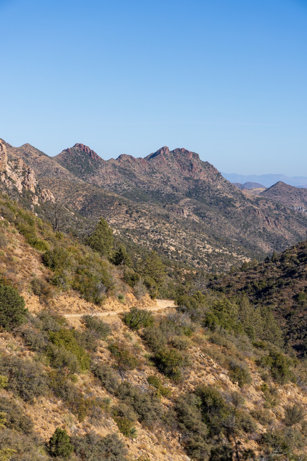 Forest 650, Queen Valley & Montana Mountain, Tonto National Forest