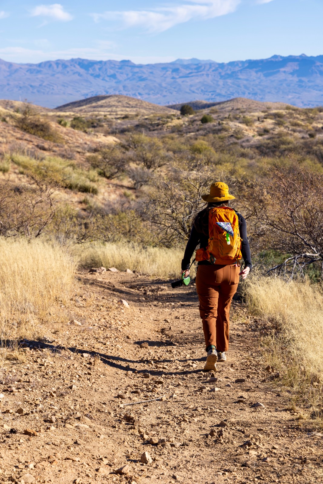 Hiking at Oracle State Park