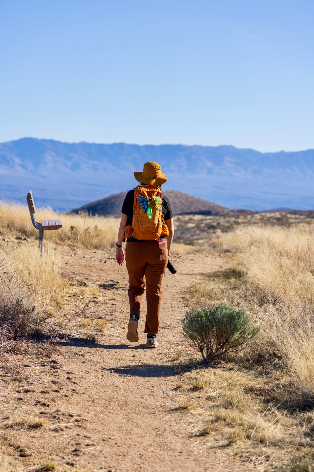 Hiking at Oracle State Park