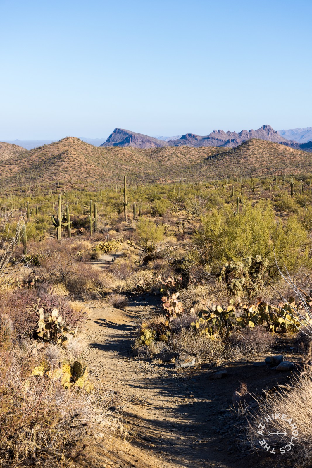Sendero Esperanza trail, Wasson Peak Hike in Saguaro National Park
