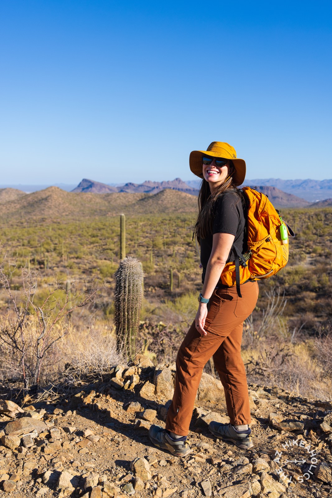 Sendero Esperanza trail, Wasson Peak Hike in Saguaro National Park