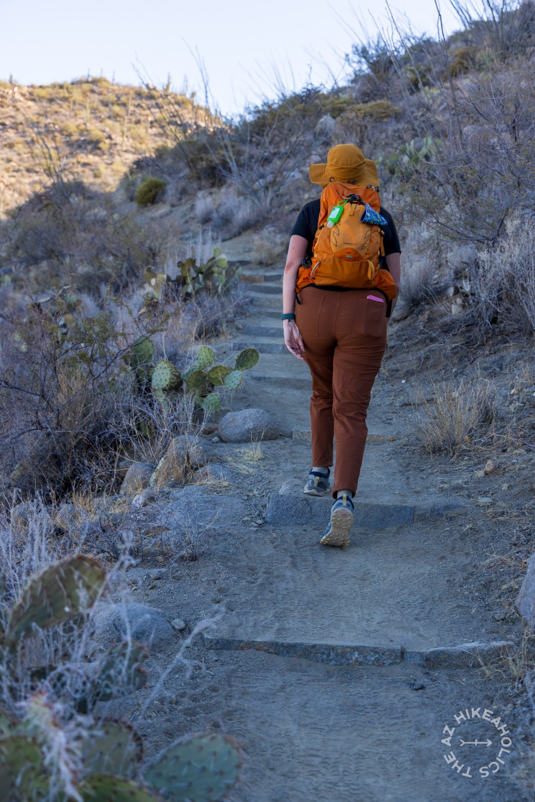 Hugh Norris Trail, Saguaro National Park