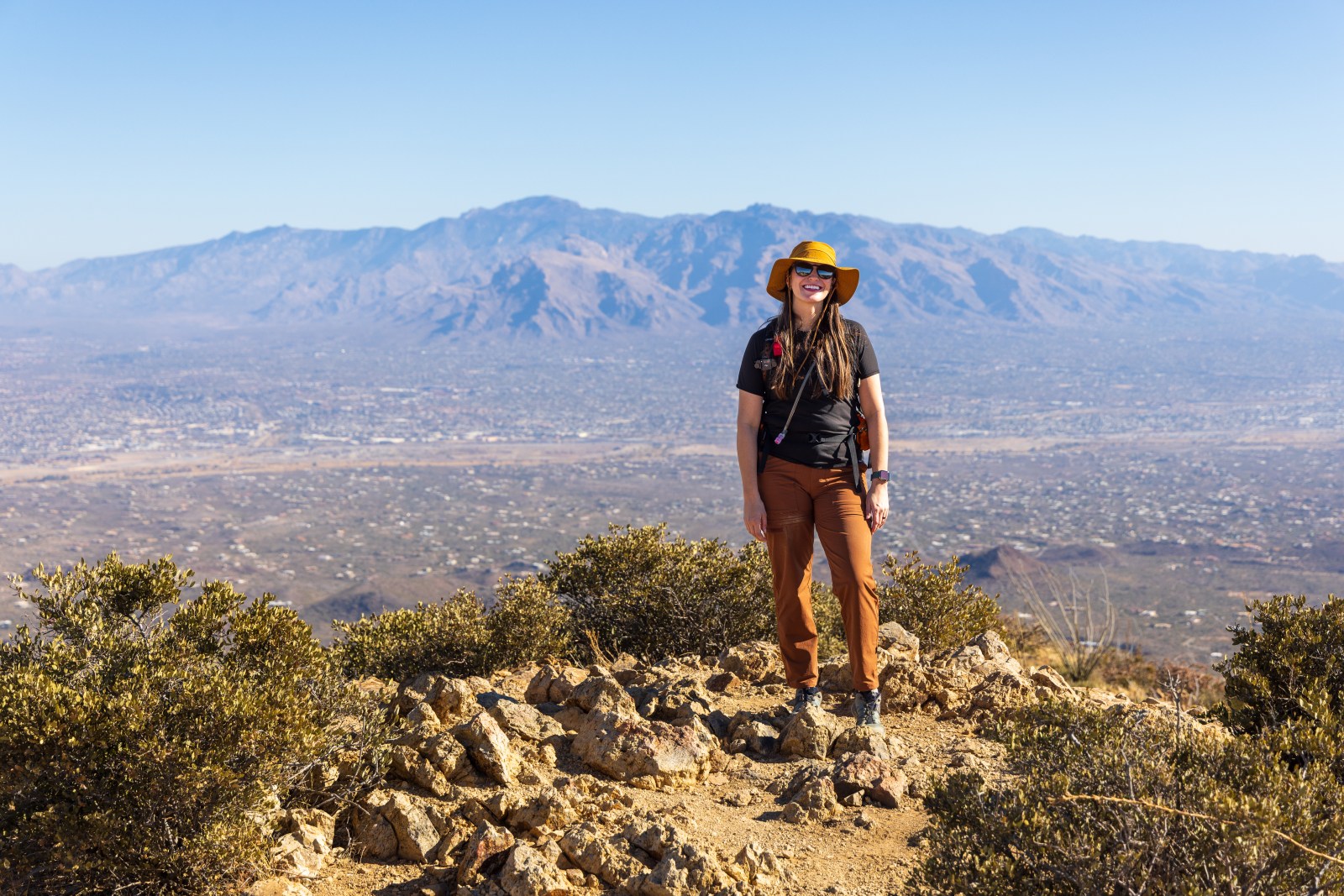 Wasson Peak, Saguaro National Park West