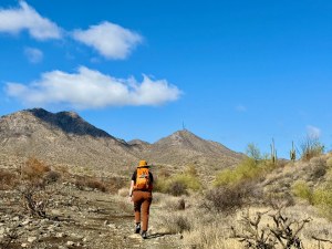 Hike to Thompson Peak in the McDowell Mountains of Scottsdale, Arizona