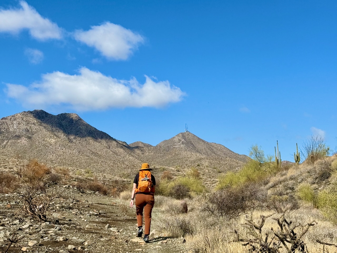 Hike to Thompson Peak in the McDowell Mountains of Scottsdale, Arizona