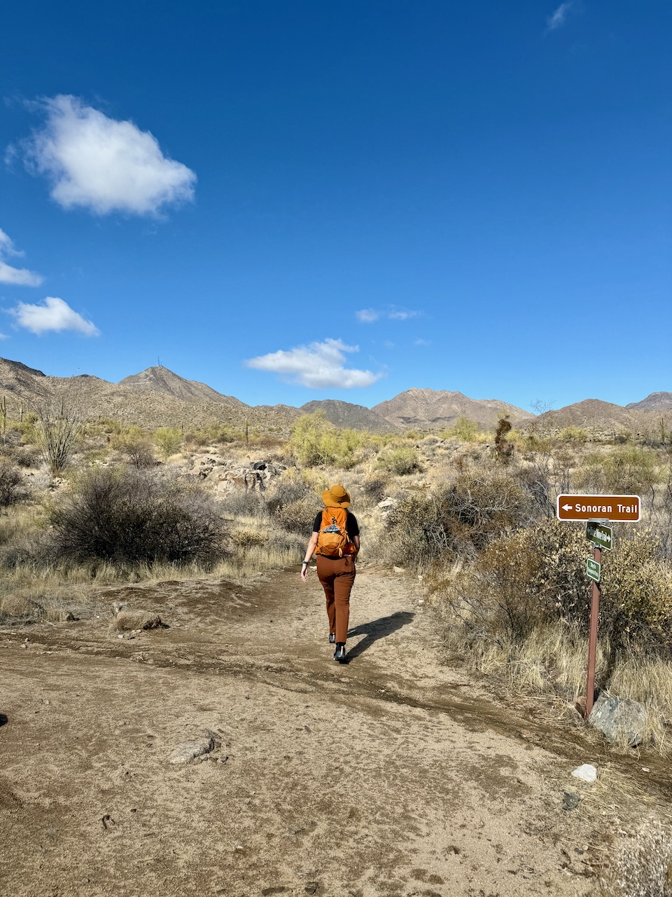 Thompson Peak hike in the McDowell Mountains via Dixie Mine Trail