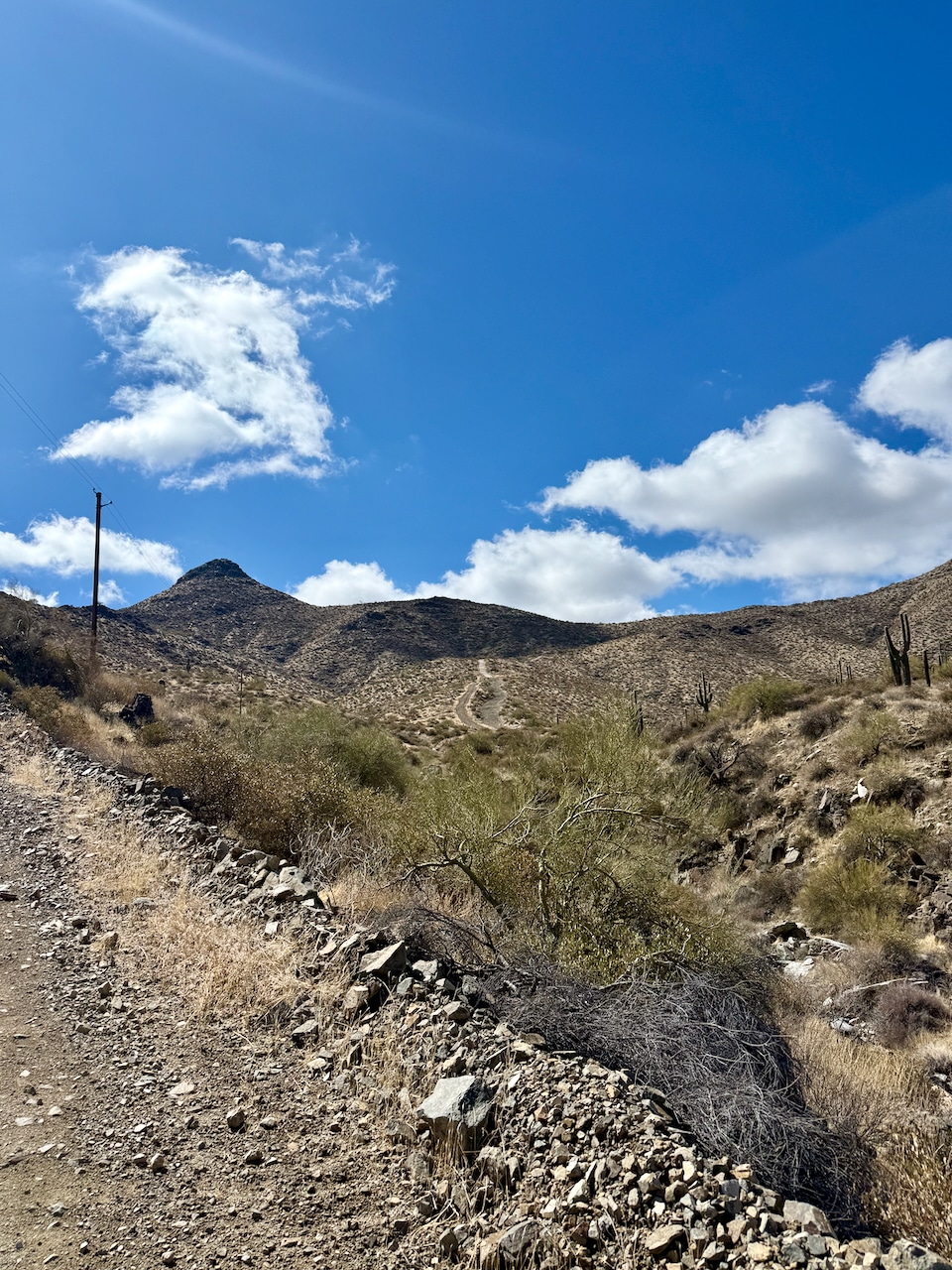 Thompson Peak hike in the McDowell Mountains via Dixie Mine Trail
