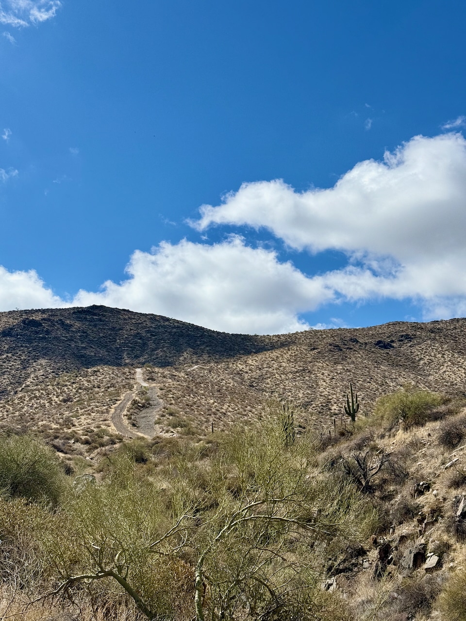 Thompson Peak hike, McDowell Mountains, Scottsdale, AZ
