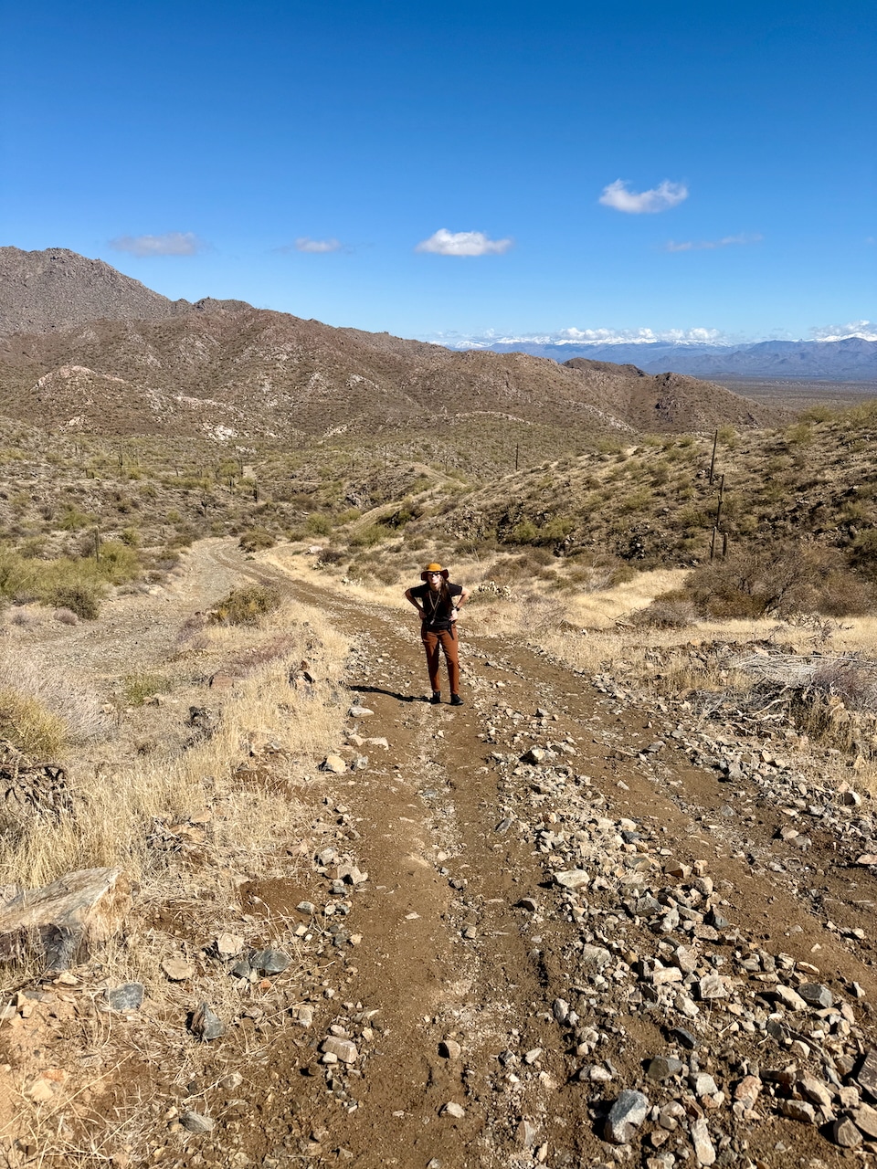 Thompson Peak hike, McDowell Mountains, Scottsdale, AZ
