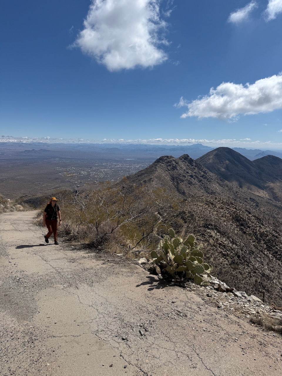 Thompson Peak hike, McDowell Mountains, Scottsdale, AZ