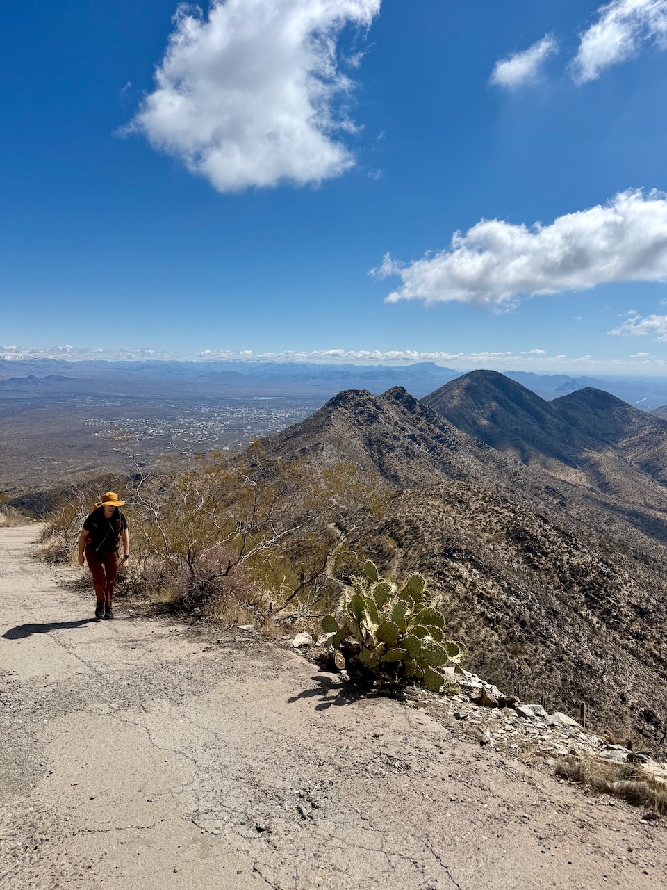 Thompson Peak hike, McDowell Mountains, Scottsdale, AZ