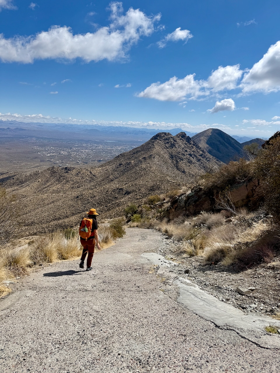 Thompson Peak hike, McDowell Mountains, Scottsdale, AZ