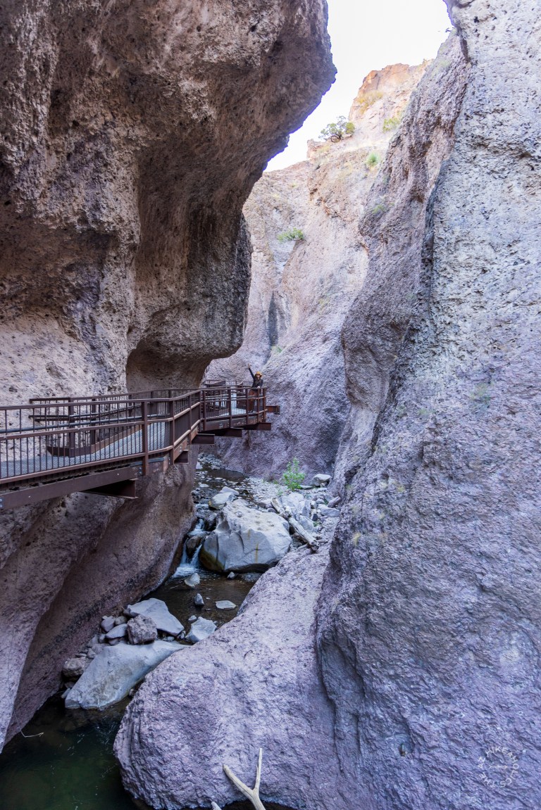 Catwalk Trail, Gila National Forest