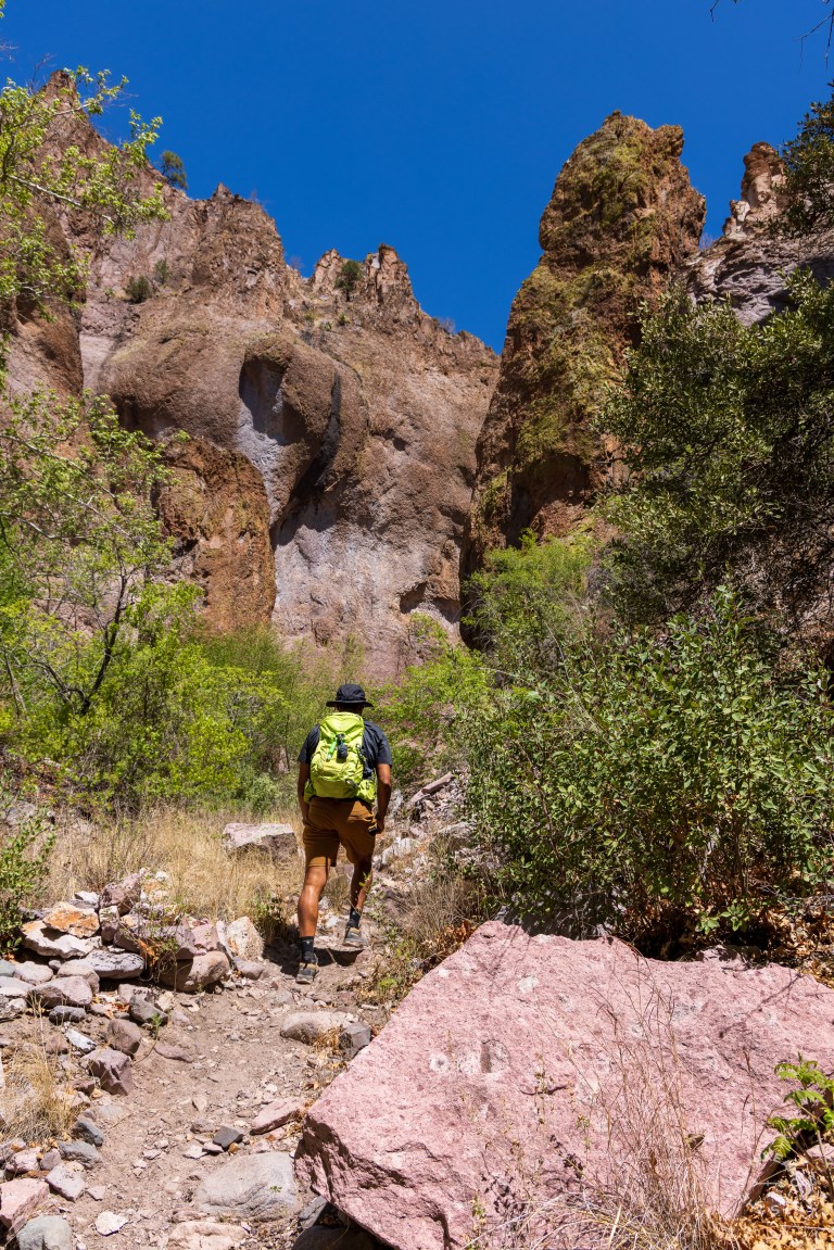 Cooney Canyon Trail, Mineral Creek, Gila National Forest, New Mexico