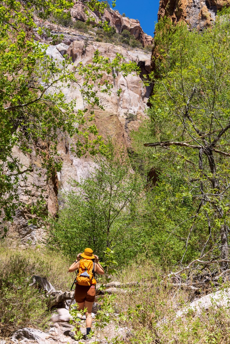 Cooney Canyon Trail, Mineral Creek, Gila National Forest, New Mexico