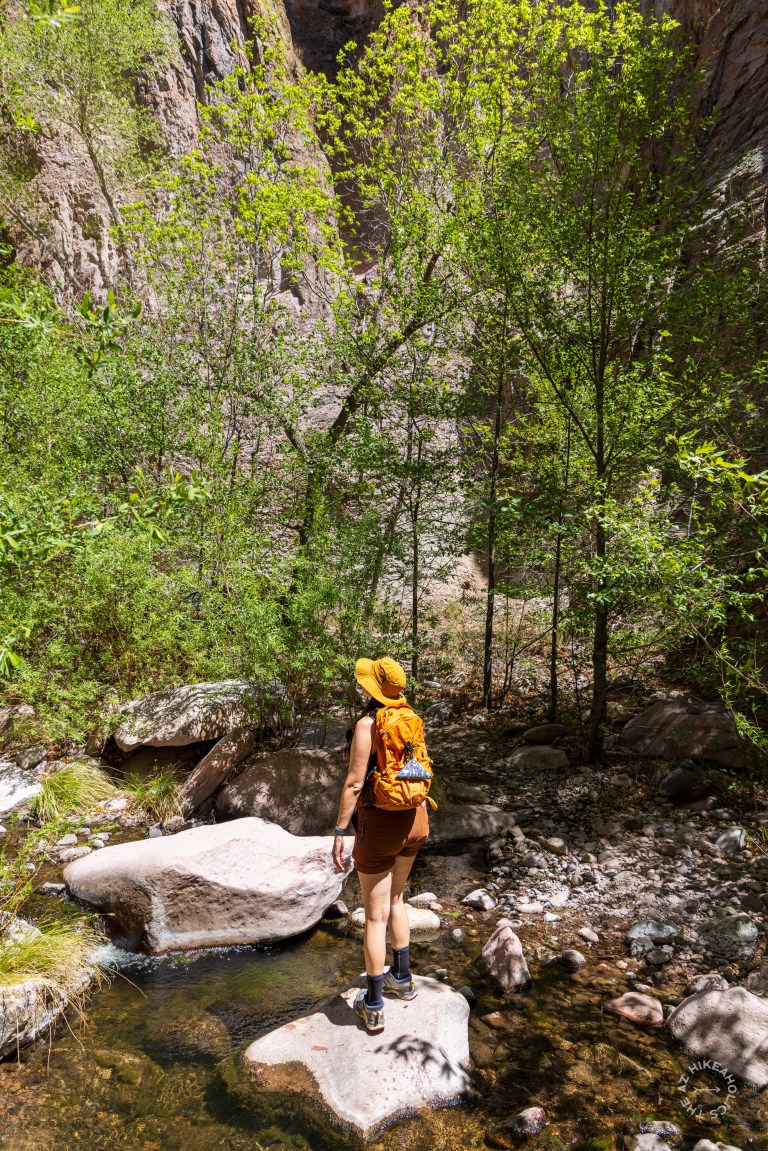 Cooney Canyon Trail, Mineral Creek, Gila National Forest, New Mexico