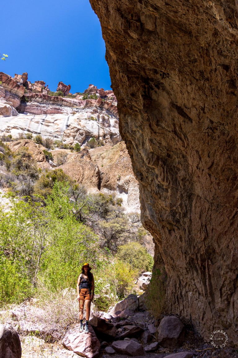 Cooney Canyon Trail, Mineral Creek, Gila National Forest, New Mexico