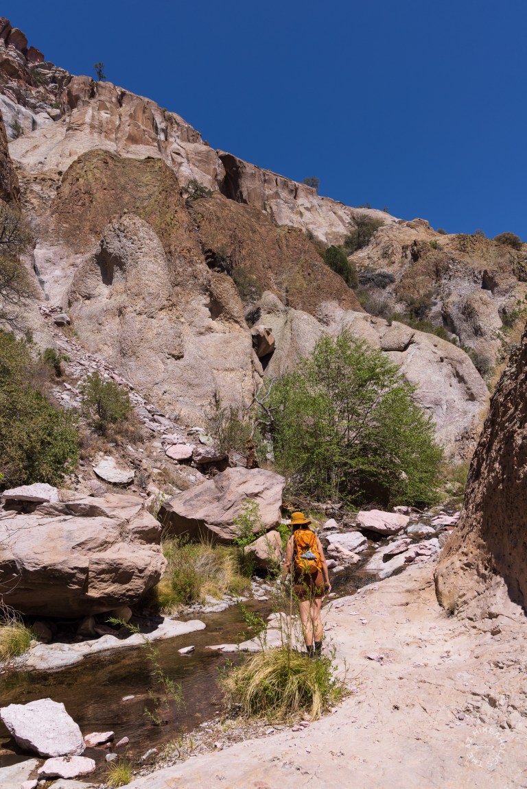 Cooney Canyon Trail, Mineral Creek, Gila National Forest, New Mexico