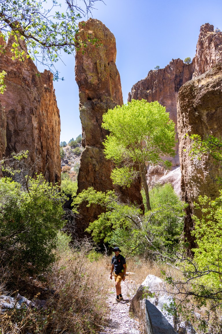 Cooney Canyon Trail, Mineral Creek, Gila National Forest, New Mexico