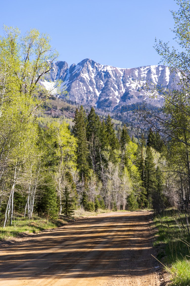 La Plata Canyon, San Juan National Forest outside of Durango, Colorado