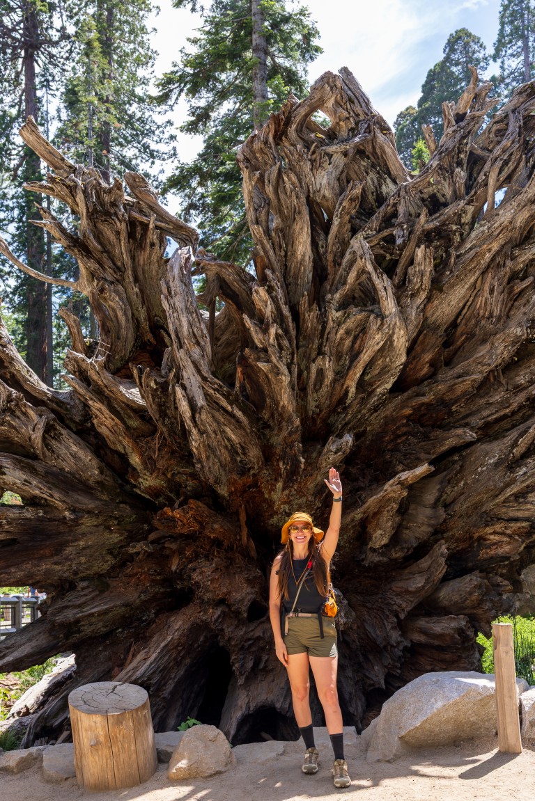 Mariposa Grove, Yosemite National Park