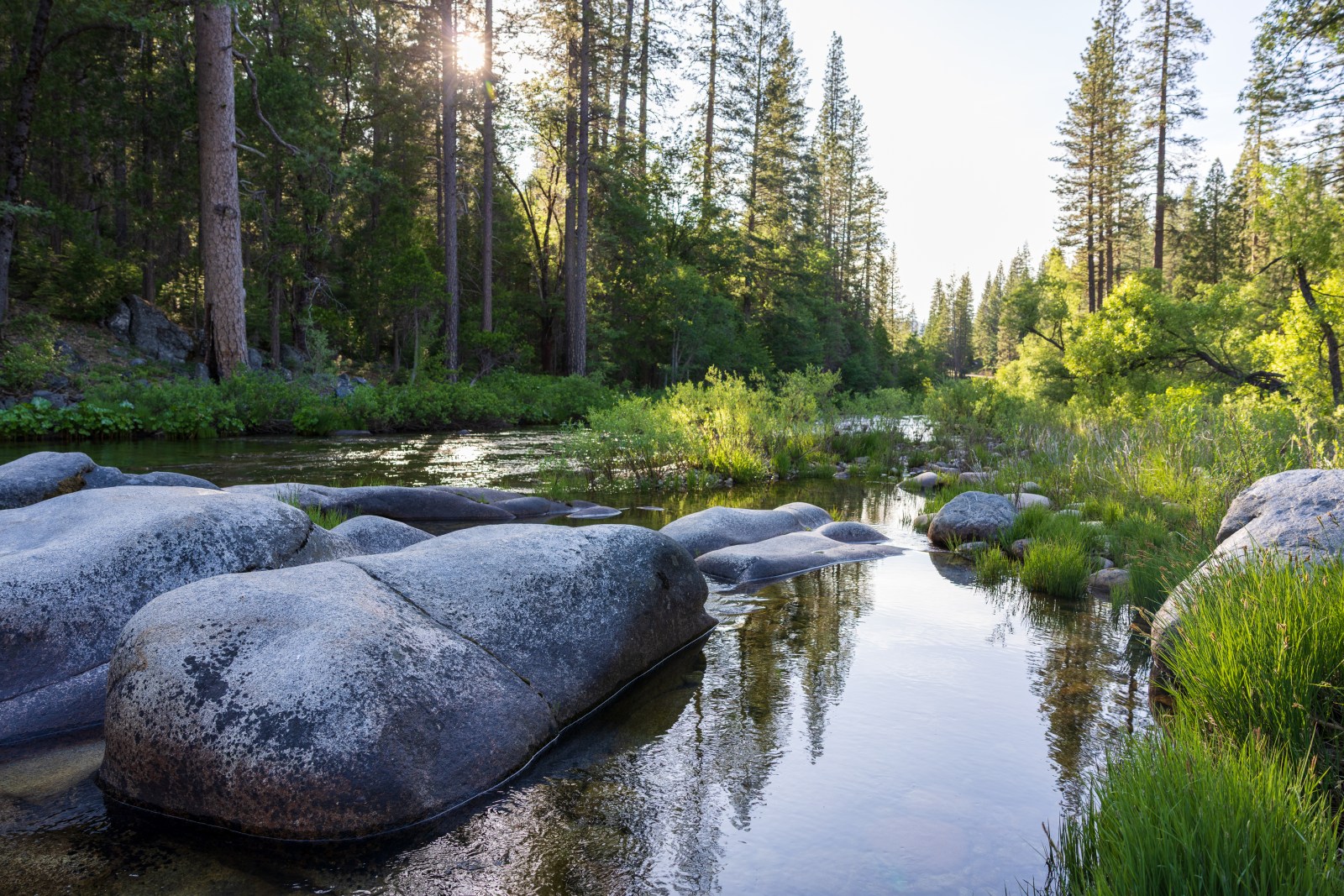 South Fork Merced River at Wawona Campground, Yosemite National Park