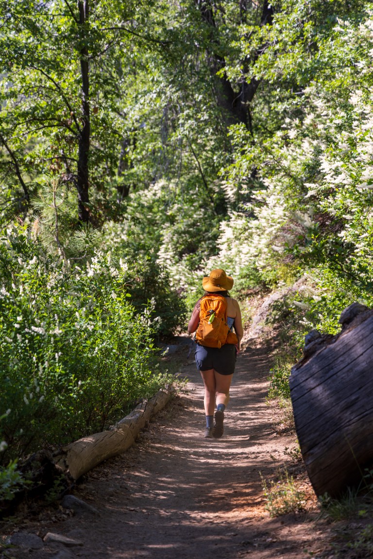 Panorama Trail, Glacier Point, Yosemite National Park