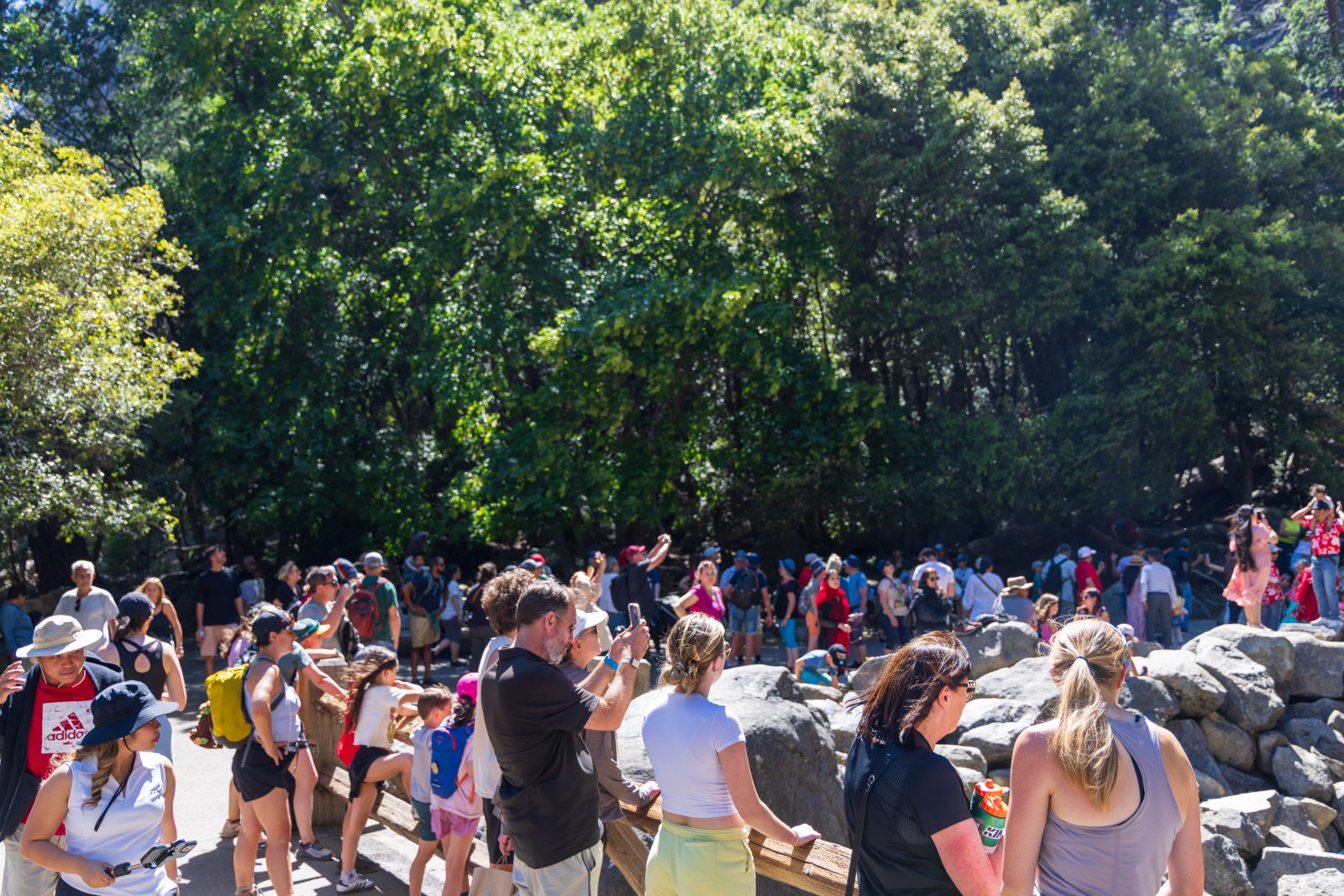 Lower Yosemite Falls trail, Yosemite National Park