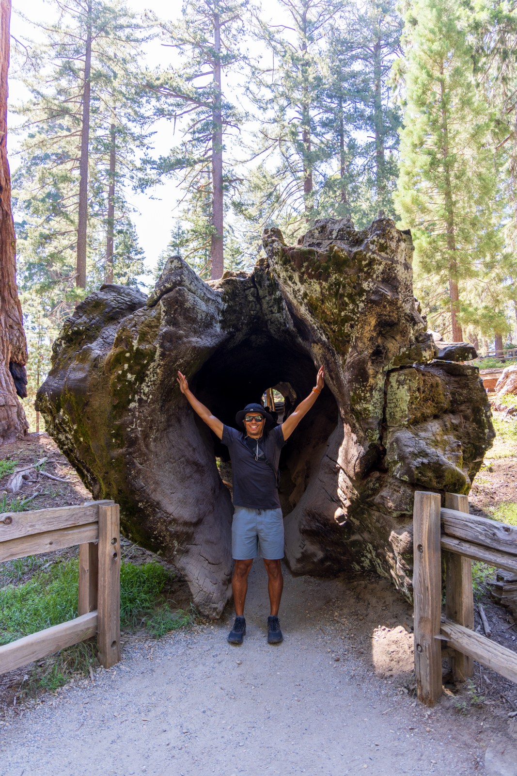 General Grant Grove, Kings Canyon National Park