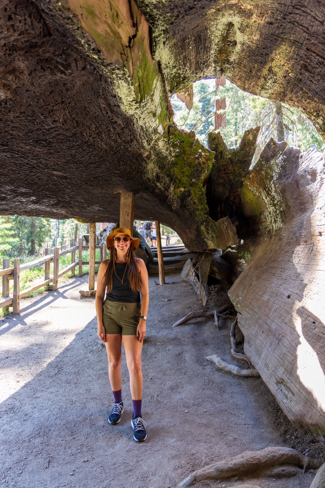General Grant Grove, Kings Canyon National Park