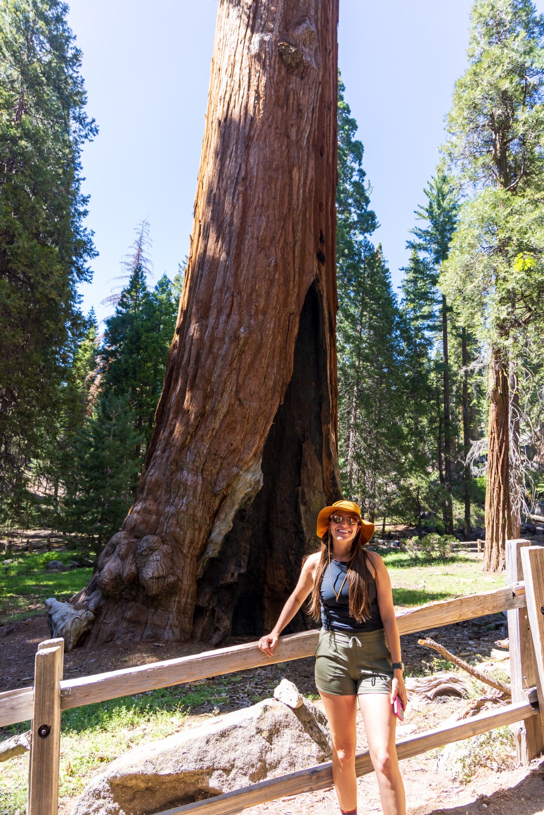 General Grant sequoia tree, Kings Canyon National Park