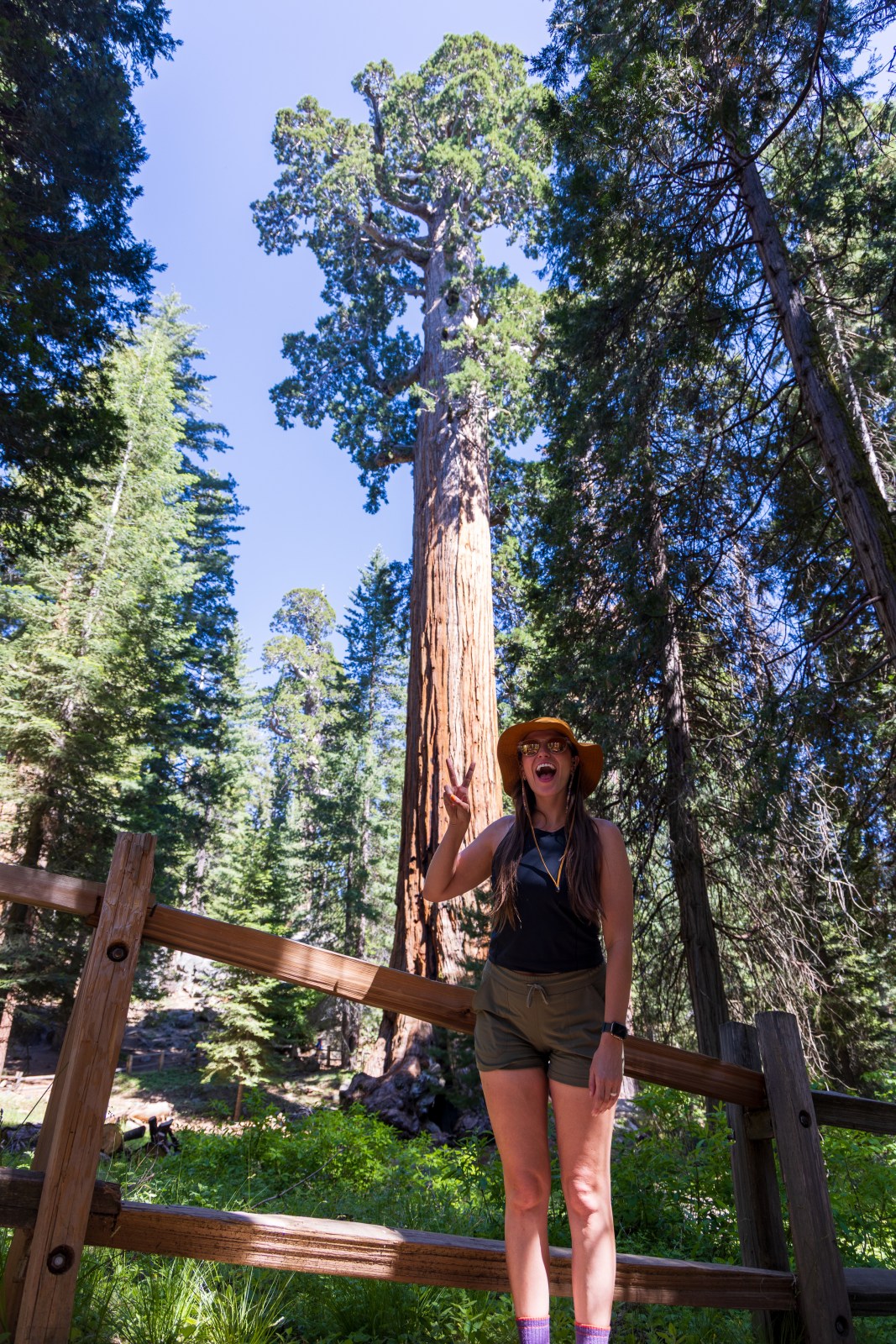 General Grant sequoia tree, Kings Canyon National Park