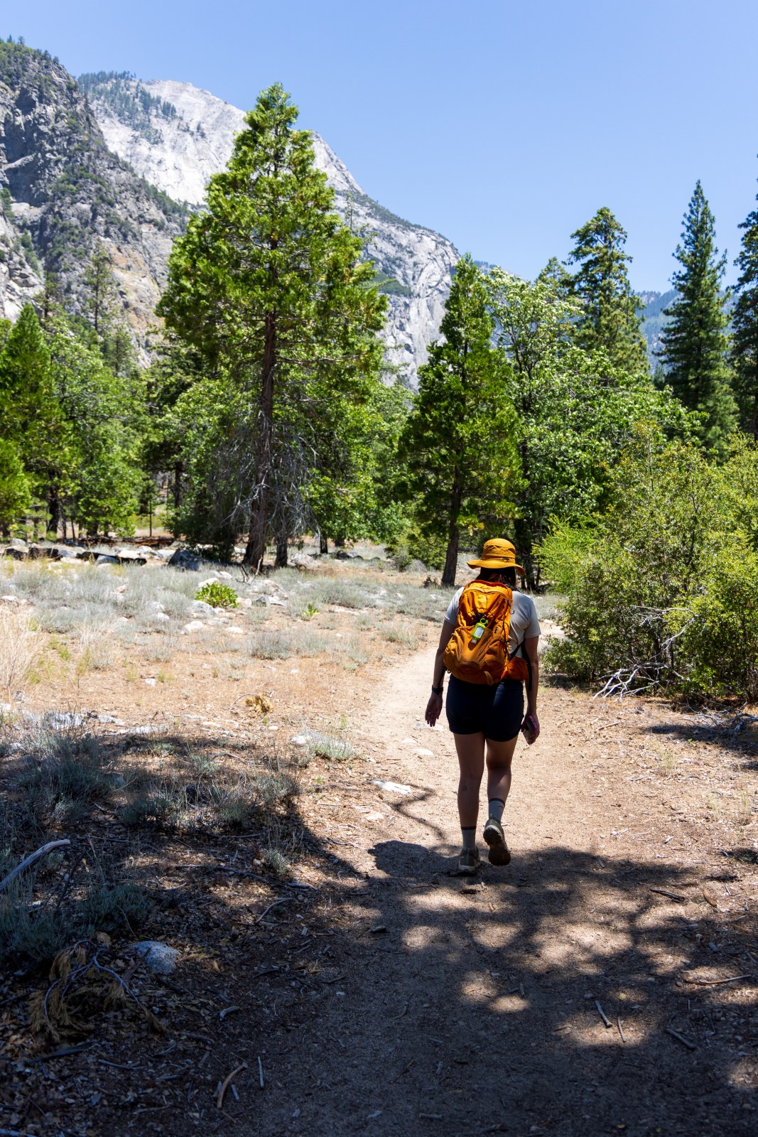 Kings Canyon National Park - Zumwalt Meadow and Roaring River Falls