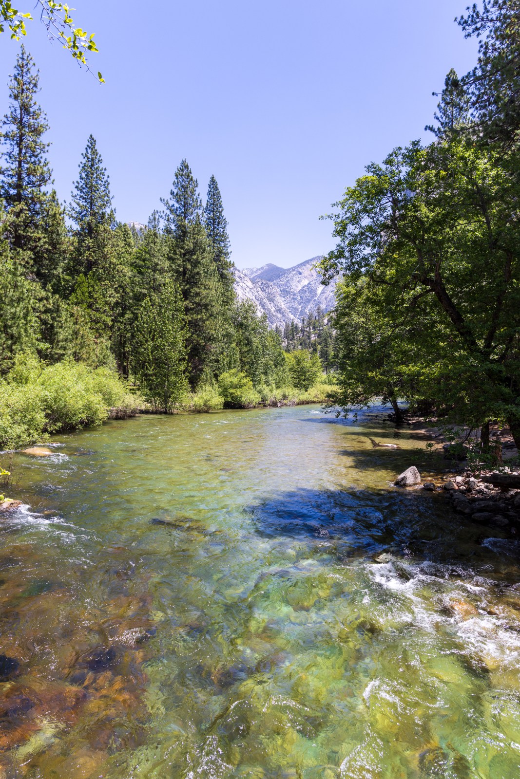 Kings Canyon National Park - South Fork of the Kings River