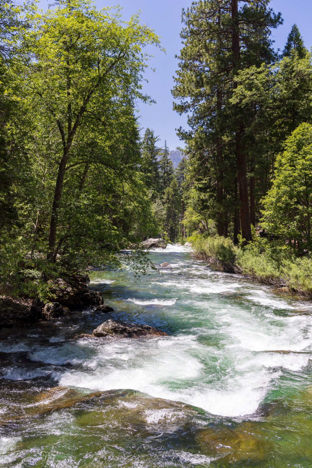 Kings Canyon National Park - South Fork of the Kings River