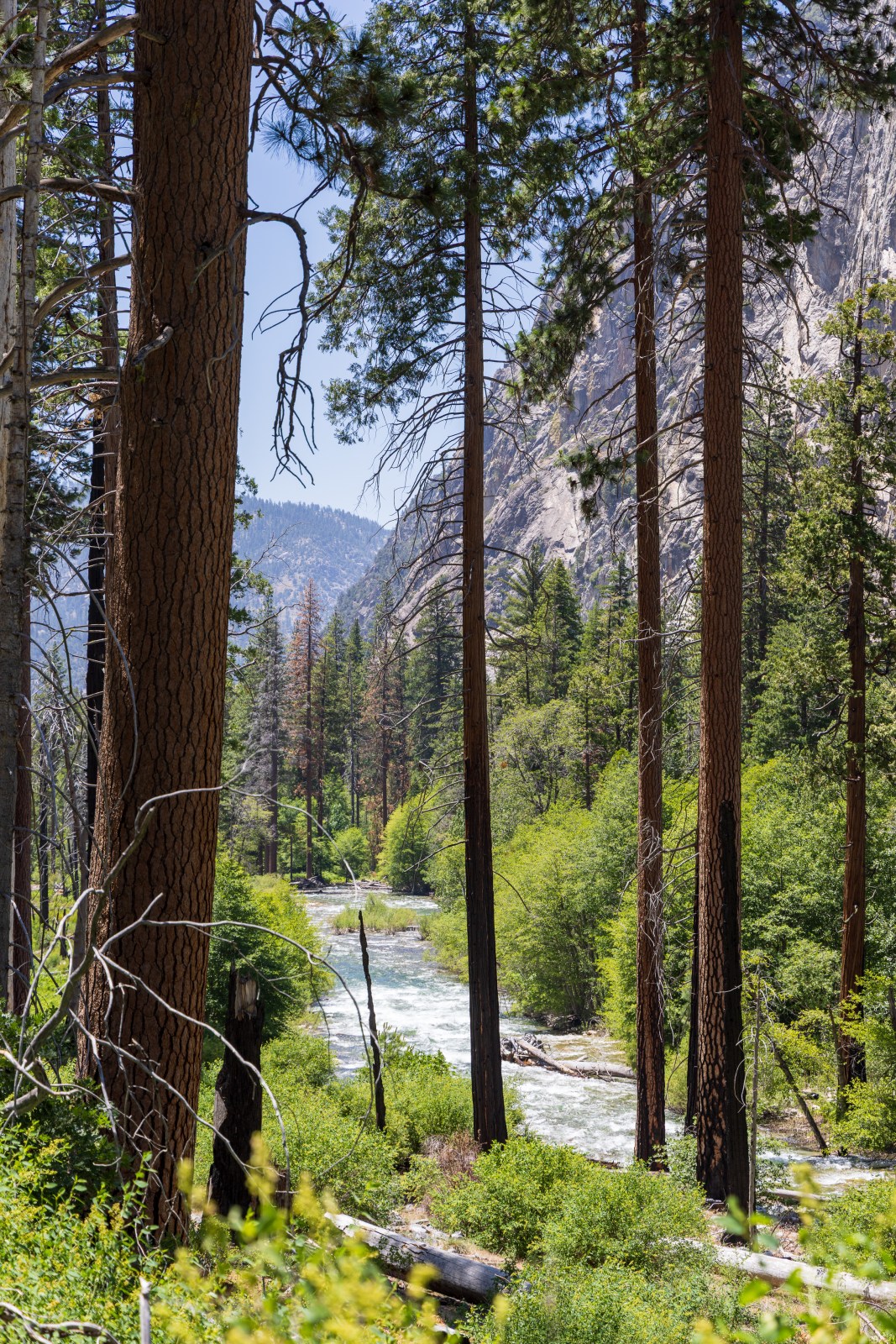 Kings Canyon National Park - South Fork of the Kings River