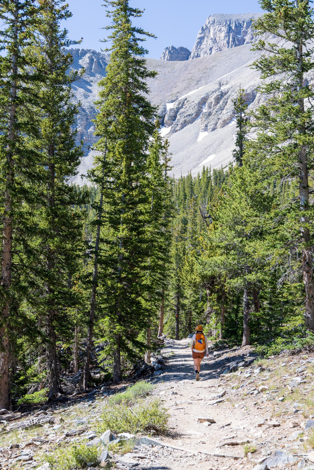 Bristlecone and Alpine Lakes Loop hike, Great Basin National Park