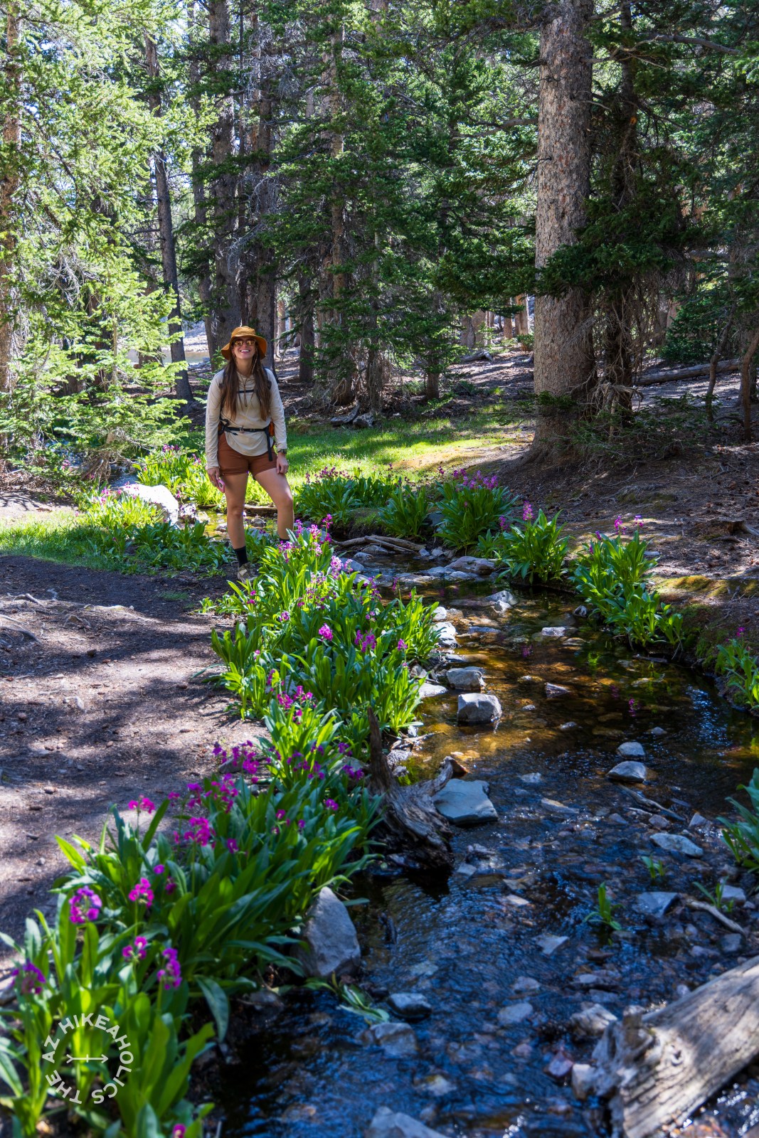 Bristlecone and Alpine Lakes Loop hike, Great Basin National Park