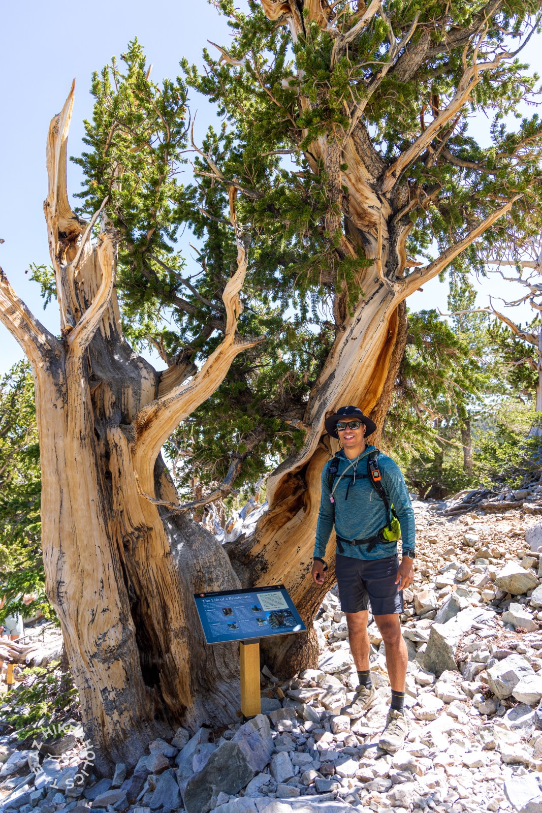 Bristlecone and Alpine Lakes Loop hike, Great Basin National Park