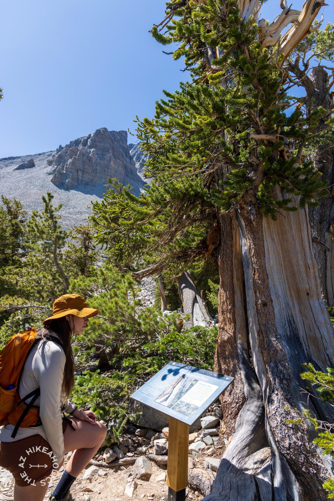 Bristlecone and Alpine Lakes Loop hike, Great Basin National Park