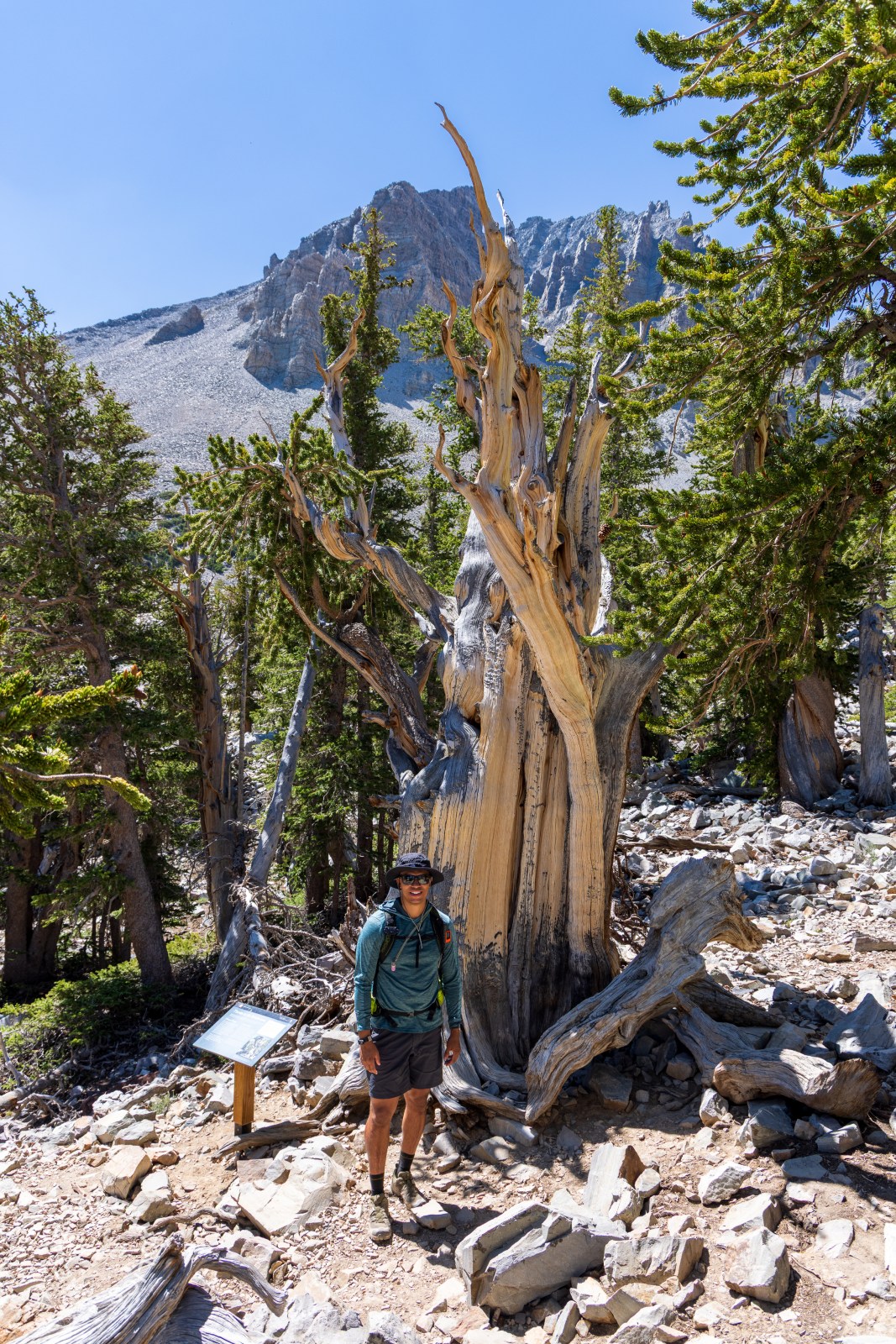 Bristlecone and Alpine Lakes Loop hike, Great Basin National Park