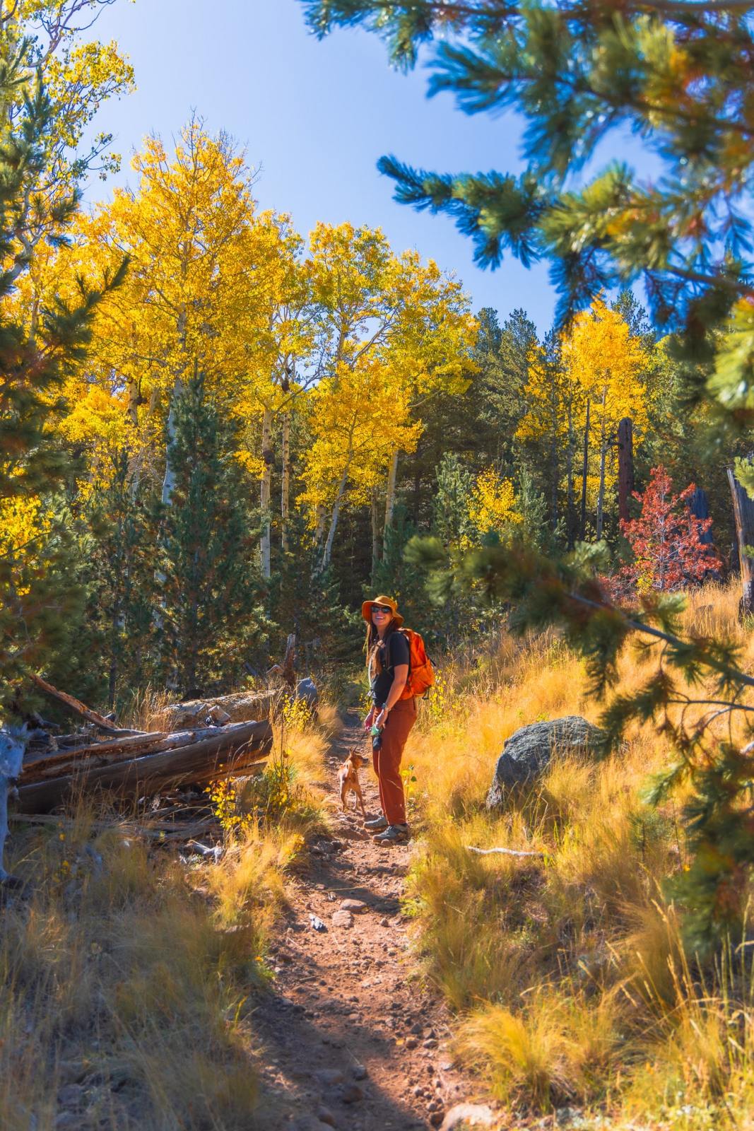 Abineau to Bear Jaw Trail