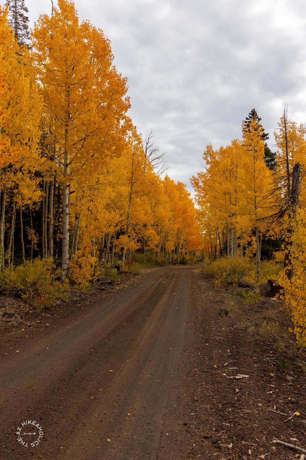 southern utah fall colors