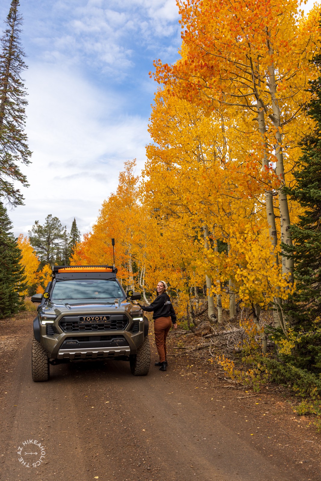 Dixie National Forest