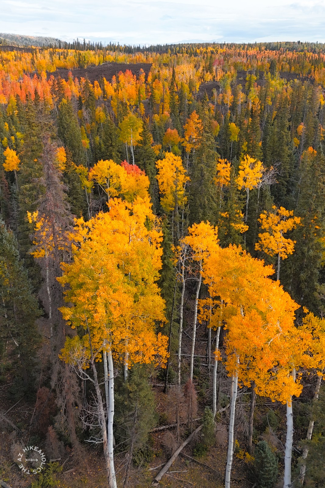 southern utah fall colors