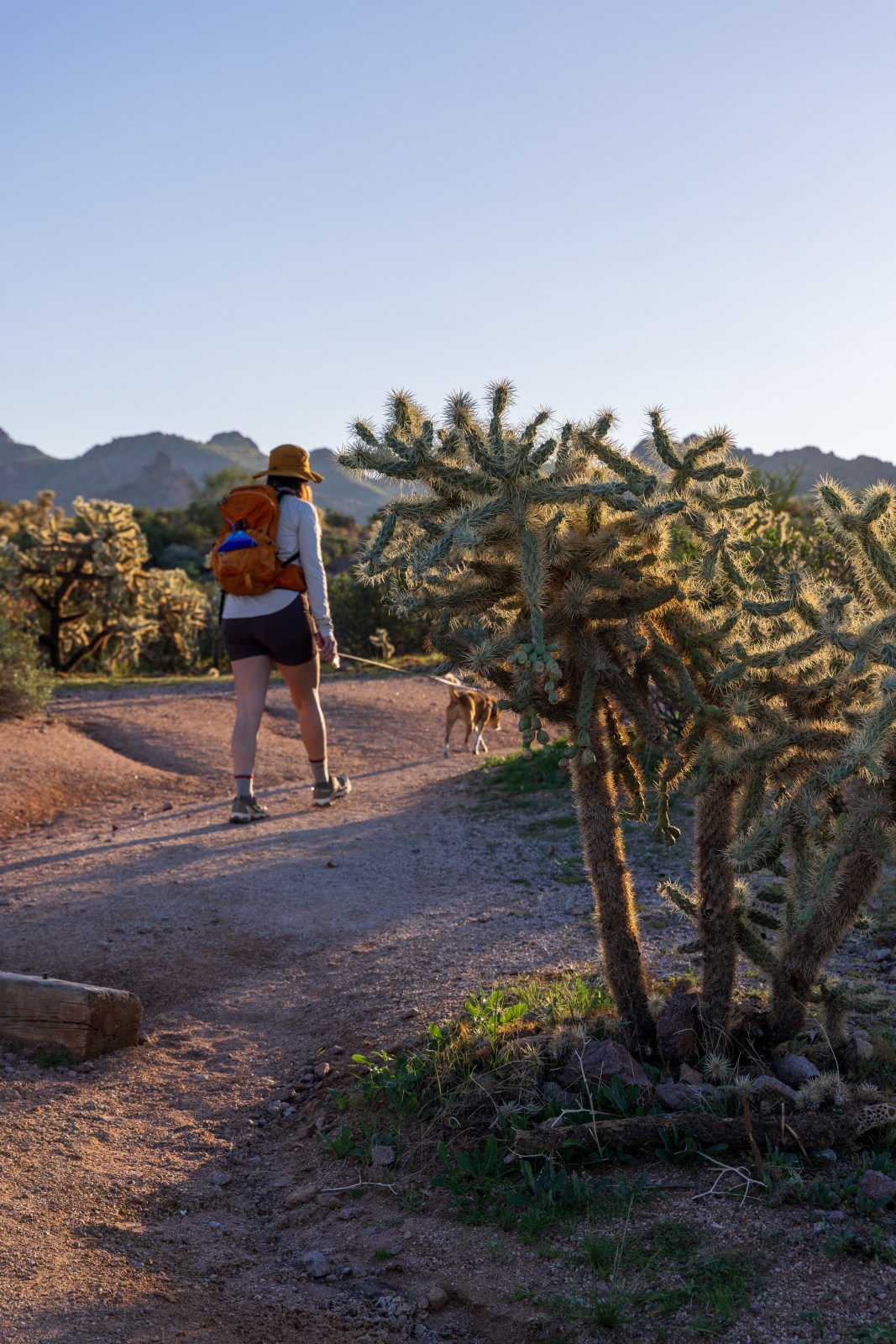Lost Dutchman State Park, Treasure Loop, Praying Hands, Superstition Mountains