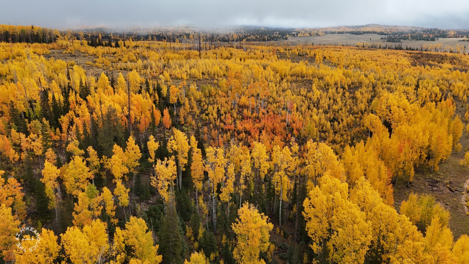 southern utah fall colors